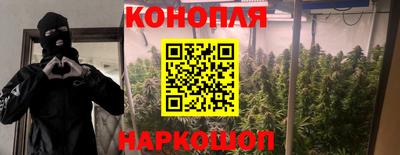 мдпв Краснознаменск